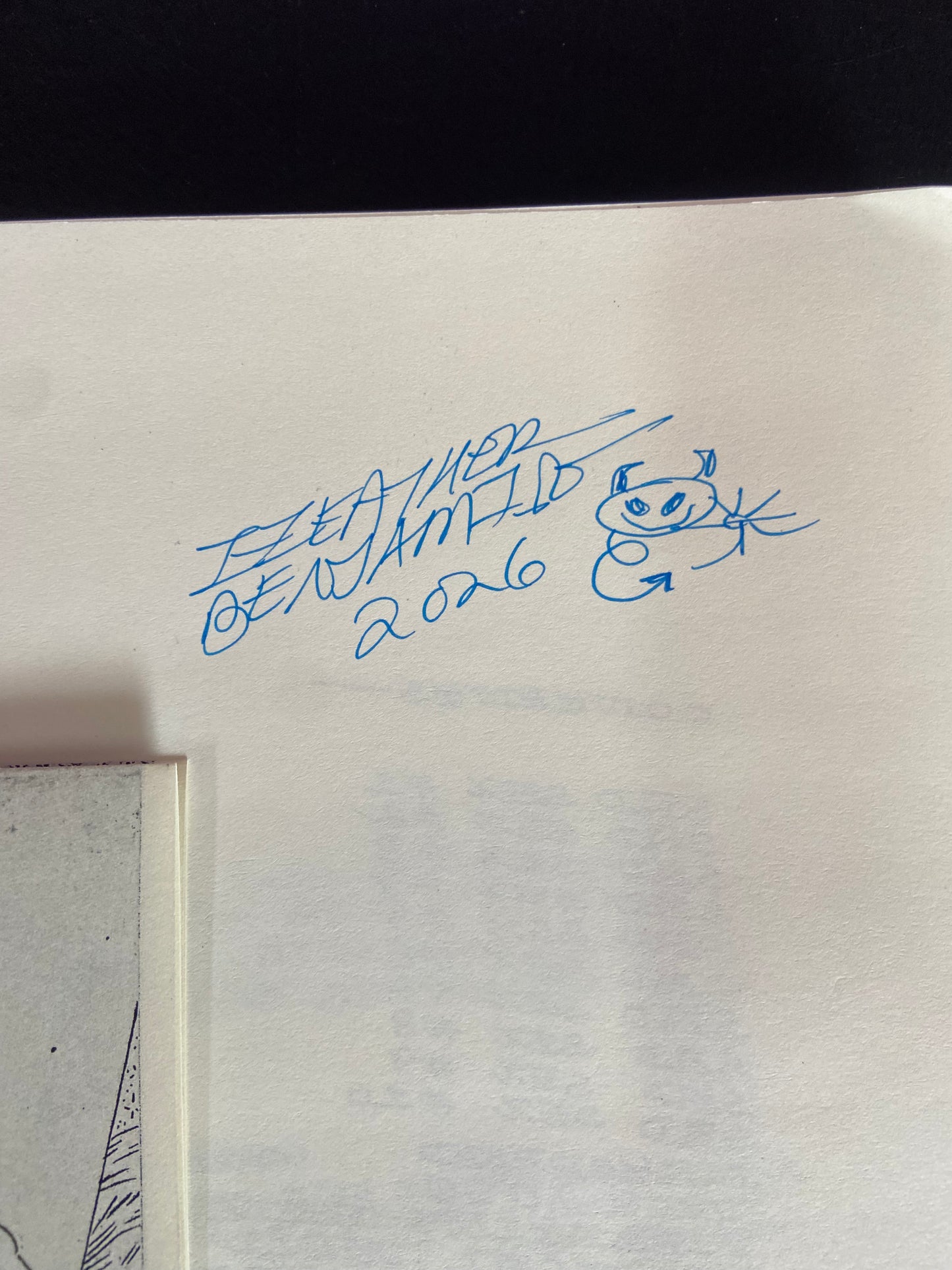 Zines 2009 - 2019 de Heather Benjamin